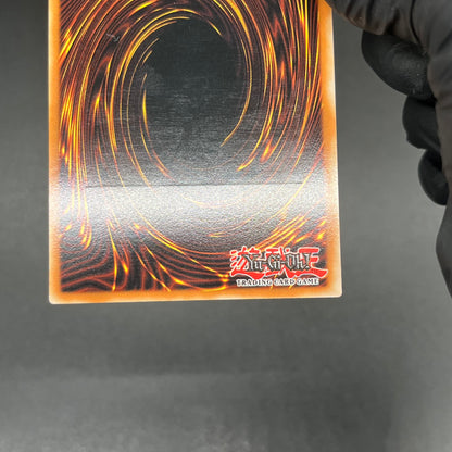 遊戯王　エレメンタル・アブソーバー/レリーフ/スペイン語/1st/EU版