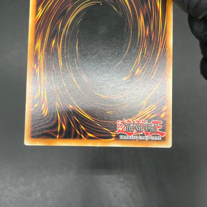 遊戯王　お家おとりつぶし/レリーフ/ドイツ語/1st/EU版