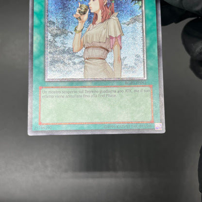 遊戯王　禁じられた聖杯/レリーフ/イタリア語/EU版