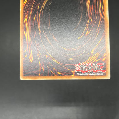 遊戯王　剣闘獣トラケス/レリーフ/ドイツ語/1st/EU版