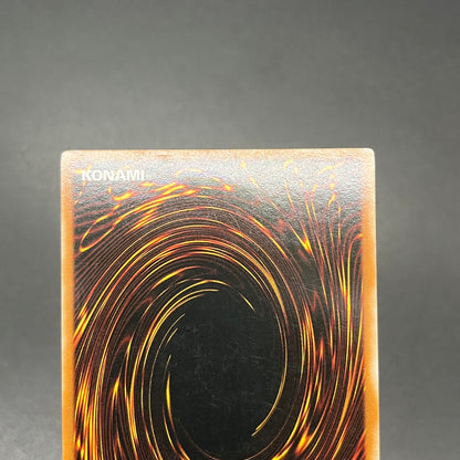 遊戯王　漆黒の魔王 ＬＶ６/レリーフ/英語/北米版