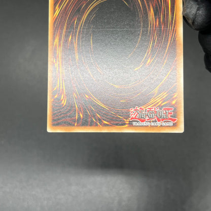 遊戯王　トークン謝肉祭/レリーフ/ドイツ語/1st/EU版