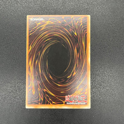 遊戯王　ガードペナルティ/レリーフ/ドイツ/1st/EU版