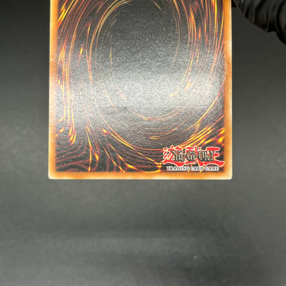 遊戯王　漆黒の魔王 ＬＶ８/レリーフ/ドイツ語/1st/EU