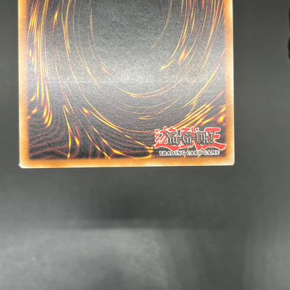 遊戯王　サイクロン・ブーメラン/レリーフ/ドイツ語/EU版