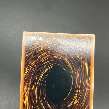 遊戯王　エレメンタル・アブソーバー/レリーフ/スペイン語/1st/EU版