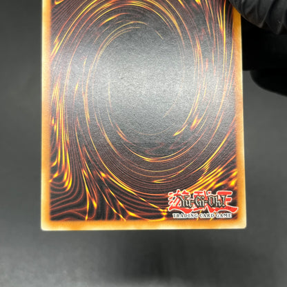 遊戯王　Ｄ・Ｄ・Ｍ/レリーフ/ドイツ語/EU版