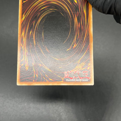 遊戯王　幻魔の殉教者/レリーフ/ドイツ語/EU版