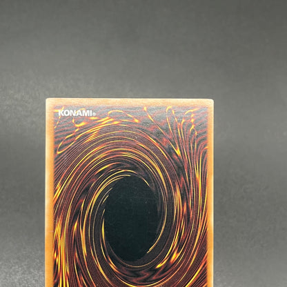 遊戯王　漆黒の魔王 ＬＶ６/レリーフ/英語/北米版