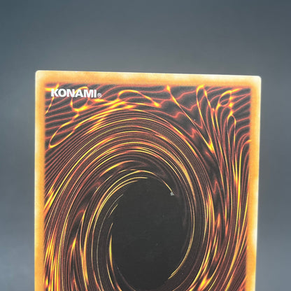 遊戯王　メタファイズ・ホルス・ドラゴン/レリーフ/ドイツ語/1st/EU版