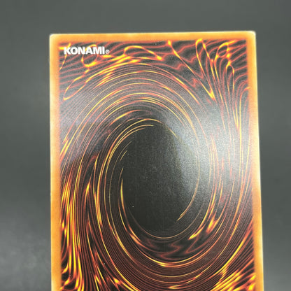 遊戯王　ＣＮｏ.１０７ 超銀河眼の時空龍/レリーフ/スペイン語/EU版