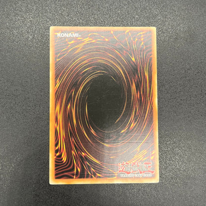 遊戯王　ＣＮｏ.１０７ 超銀河眼の時空龍/レリーフ/スペイン語/EU版