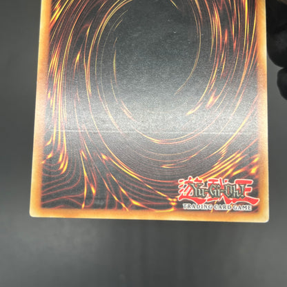 遊戯王　聖騎士ガラハド/レリーフ/イタリア語/1st/EU版