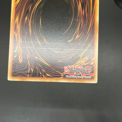 遊戯王　ＣＮｏ.１０７ 超銀河眼の時空龍/レリーフ/スペイン語/EU版