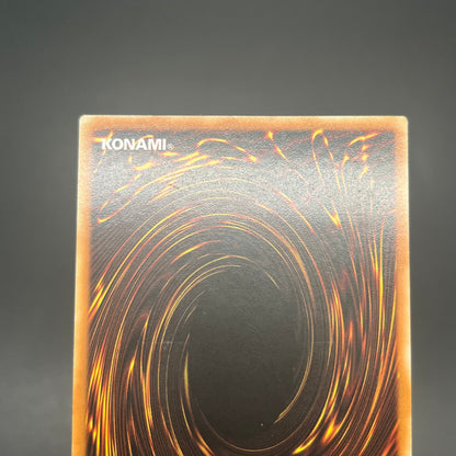 遊戯王　漆黒の魔王 ＬＶ６/レリーフ/ドイツ語/1st/EU