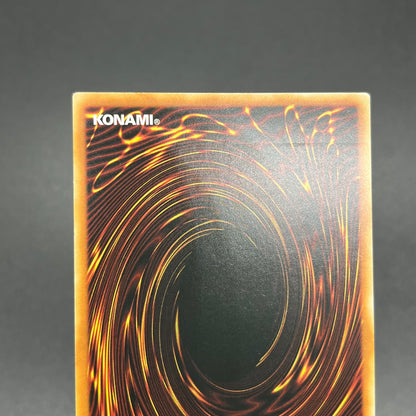 遊戯王　ブラック・マジシャン/レリーフ/ドイツ語/EU版