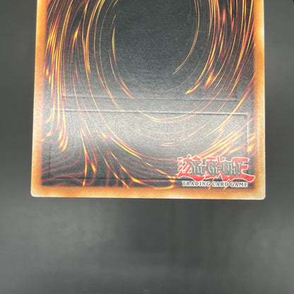 遊戯王　聖騎士ガラハド/レリーフ/イタリア語/EU版