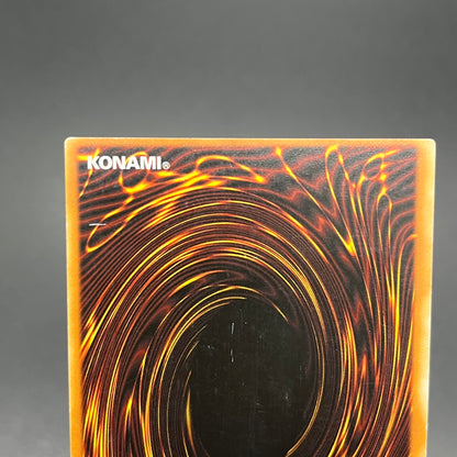 遊戯王　サイバー・フェニックス/レリーフ/ドイツ語/1st/EU版