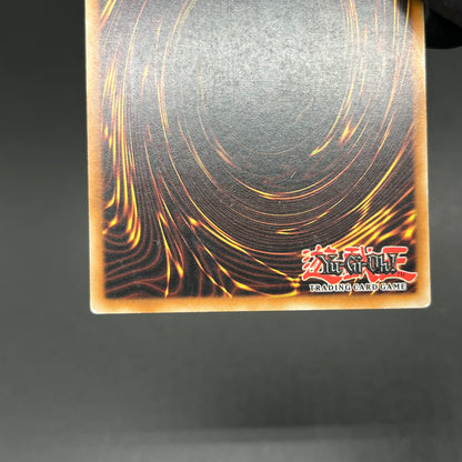 遊戯王　ビクトリー・バイパーＸＸＯ２/レリーフ/ドイツ語/EU版