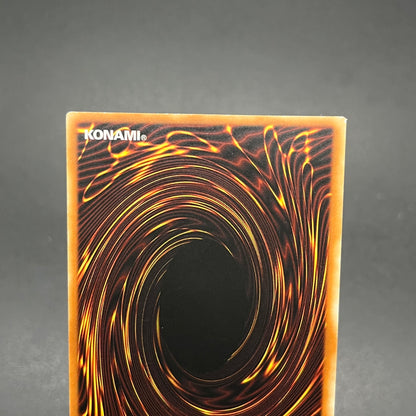 遊戯王　魔族召喚師/レリーフ/ドイツ語/EU版