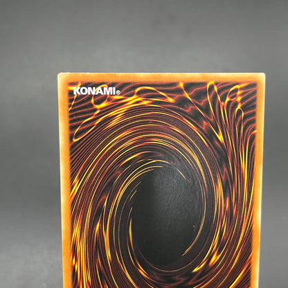 遊戯王　ハネクリボー ＬＶ１０/レリーフ/ドイツ語/EU版