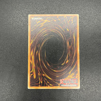 遊戯王　ビクトリー・バイパーＸＸＯ２/レリーフ/ドイツ語/EU版