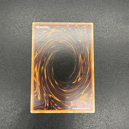 遊戯王　幻魔の殉教者/レリーフ/ドイツ語/1st/EU版