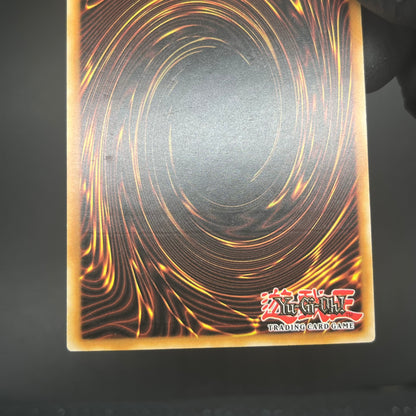 遊戯王　メタファイズ・ホルス・ドラゴン/レリーフ/ドイツ語/1st/EU版