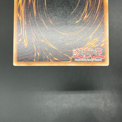 遊戯王　アルティメット・インセクトＬＶ７/レリーフ/ドイツ語/1st/EU版