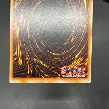 遊戯王　サイバー・フェニックス/レリーフ/ドイツ語/1st/EU版