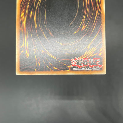 遊戯王　サイクロン・ブーメラン/レリーフ/ドイツ語/EU版