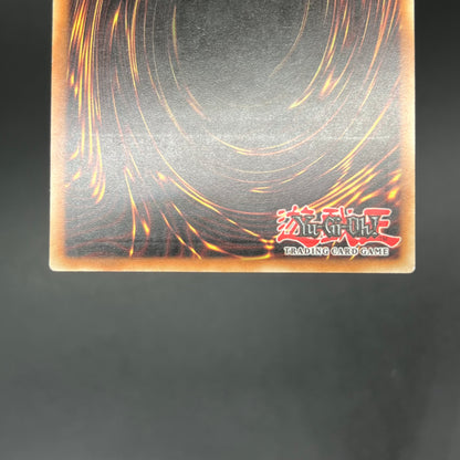 遊戯王　妖怪のいたずら/レリーフ/ドイツ語/1st/EU版