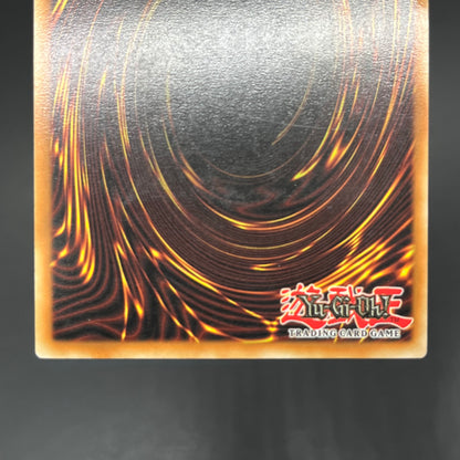 遊戯王　連弾の魔術師/レリーフ/ドイツ語/EU版