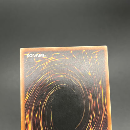 遊戯王　妖怪のいたずら/レリーフ/ドイツ語/1st/EU版