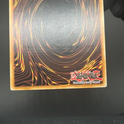 遊戯王　メタファイズ・ホルス・ドラゴン/レリーフ/ドイツ語/1st/EU版